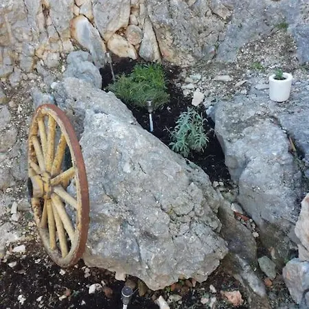 Sparoga - Dalmatian Stone House For Holiday home *